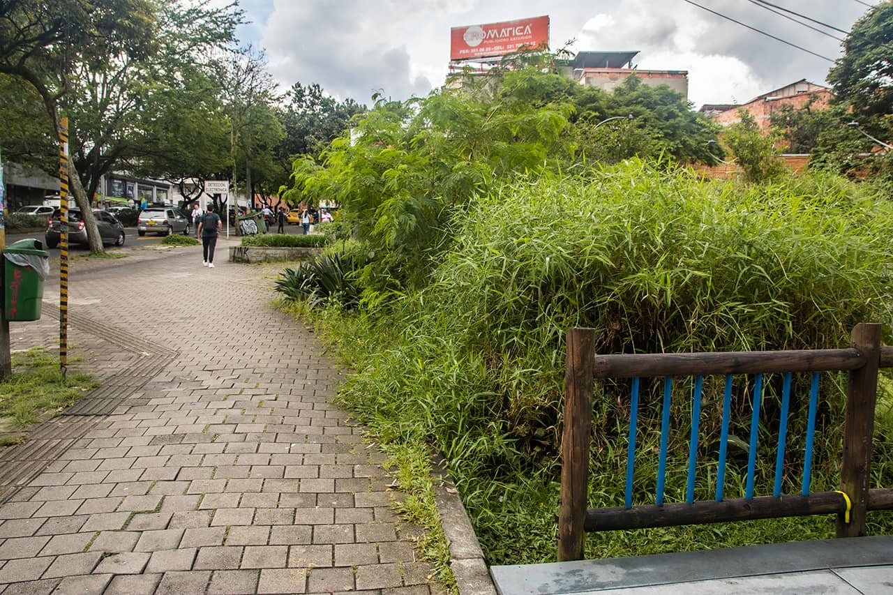 Plata para zonas verdes no está alcanzando