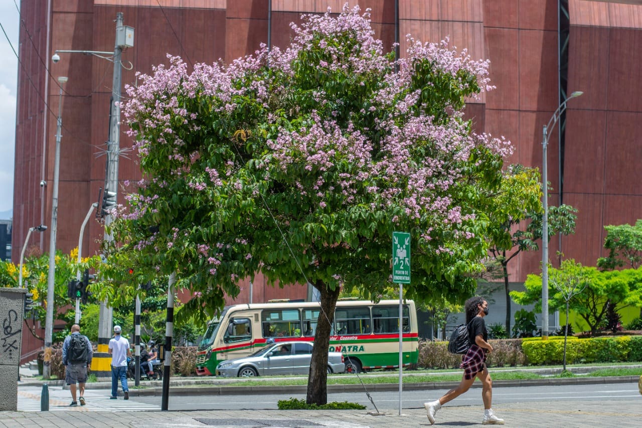 Medellín finalista en los We Love Cities