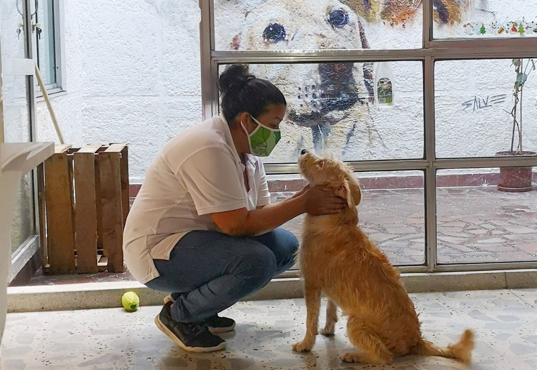 Orca invita a visitar su Café Fundación