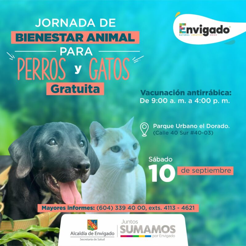 Jornada de cuidado para los perros y gatos, en Envigado