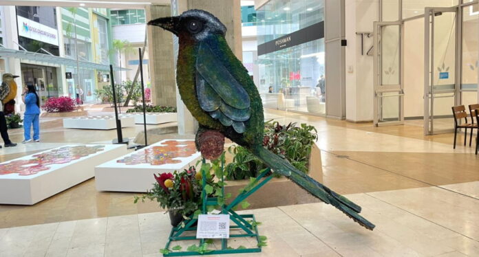 Aves para el mundo en San Fernando Plaza