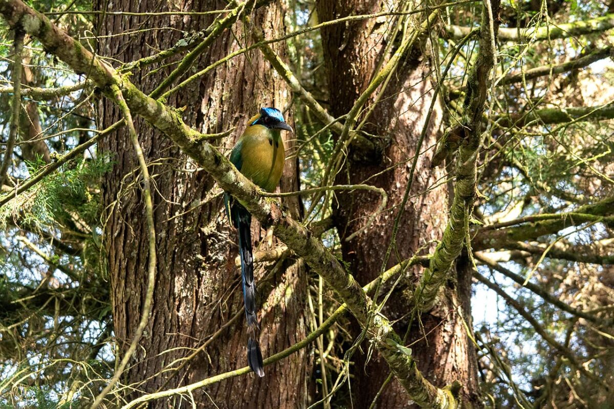 Muy cerca a Medellín está la reserva natural San Sebastián La Castellana