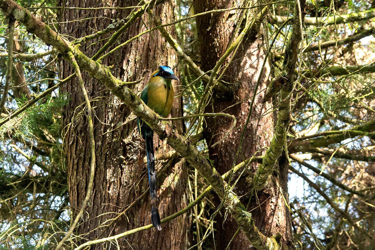 Muy cerca a Medellín está la reserva natural San Sebastián La Castellana