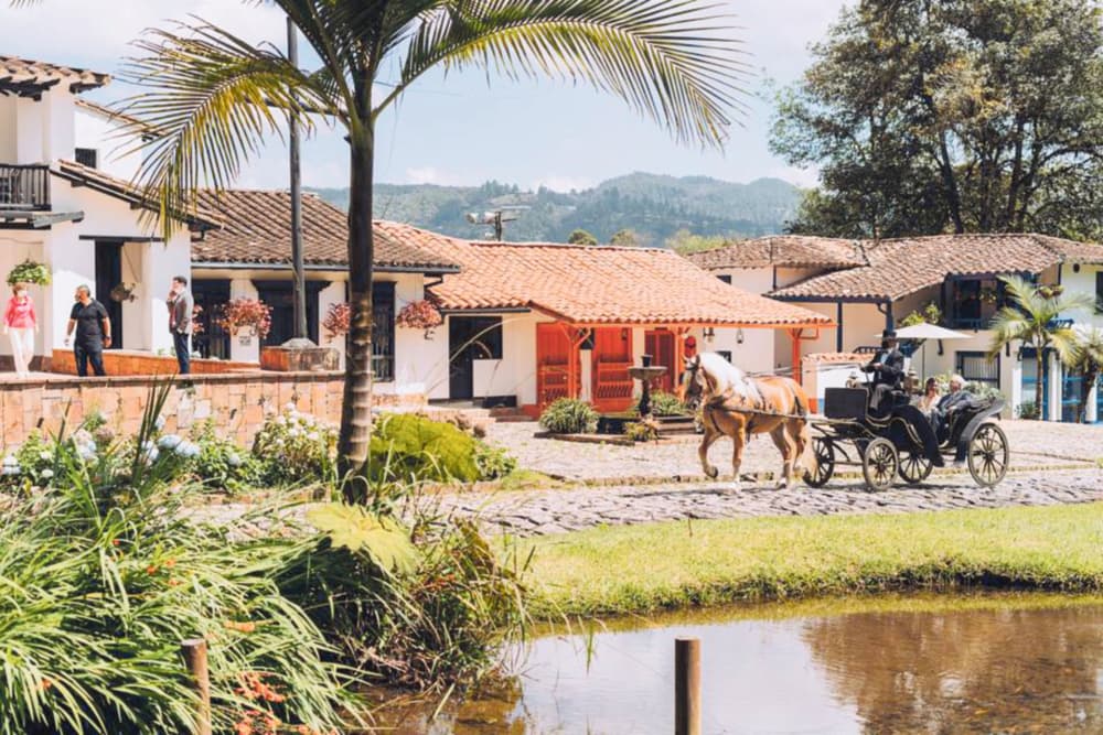 Festival de Navidad en Fizebad