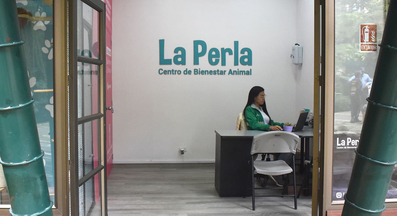 Un nuevo punto de adopción de animales de compañía en El Poblado