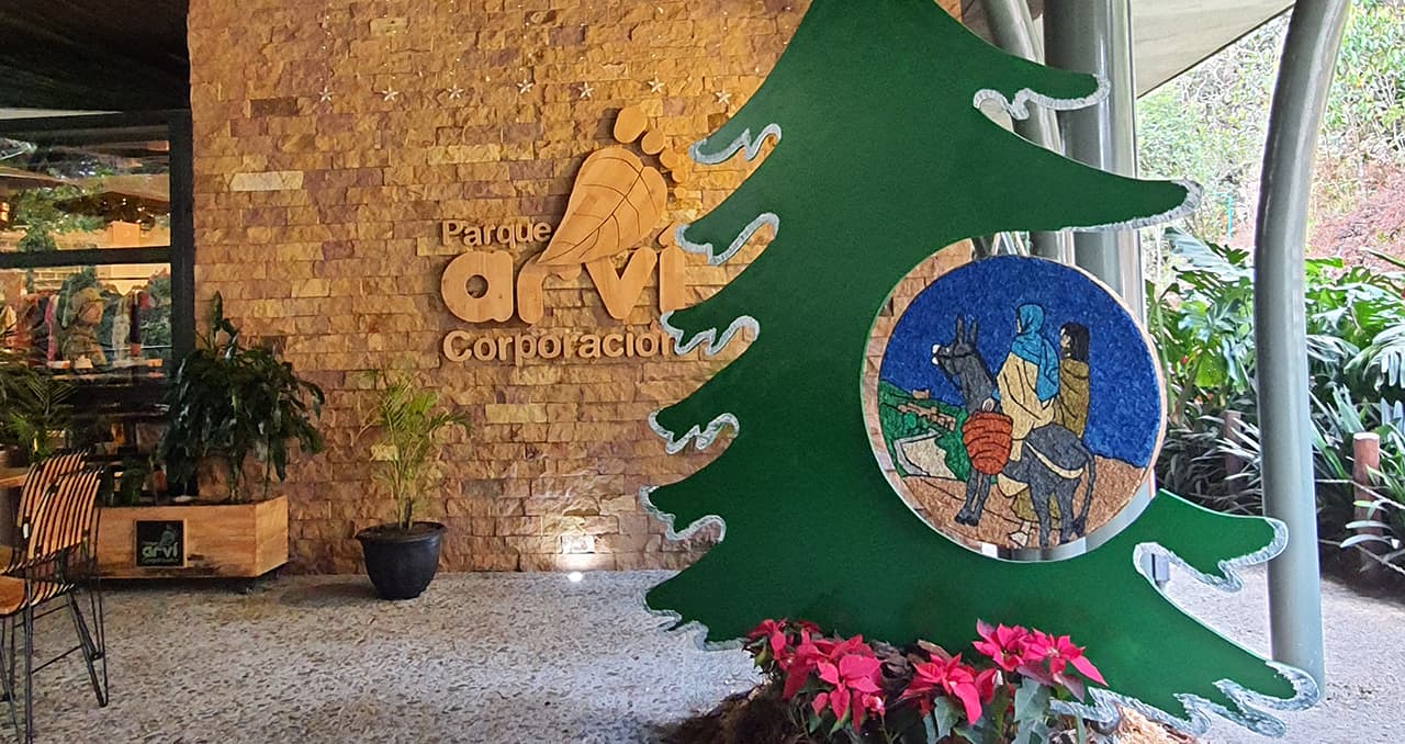Florece la Navidad en el Parque Arví