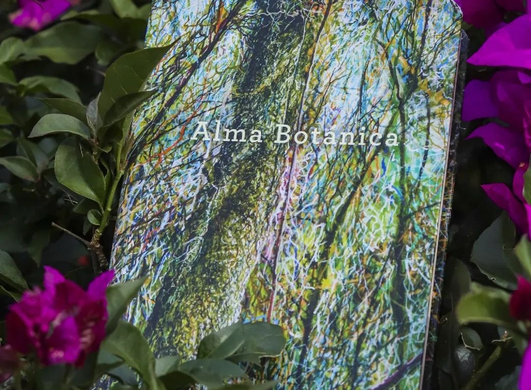 Alma Botánica es una publicación para honrar las plantas