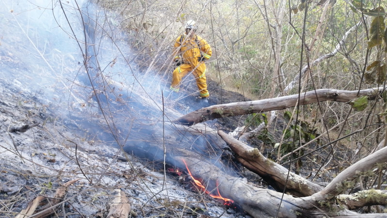 Alerta por incendios de cobertura vegetal en municipios de Antioquia declaró el Dagran