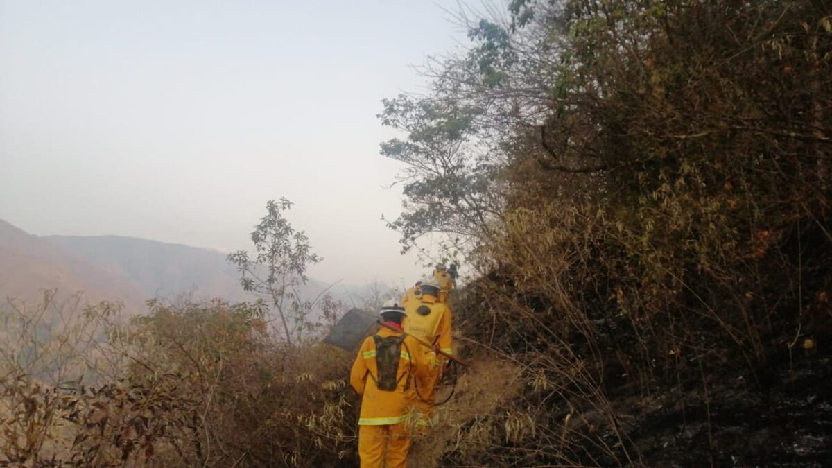 Alerta por incendios de cobertura vegetal en municipios de Antioquia declaró el Dagran