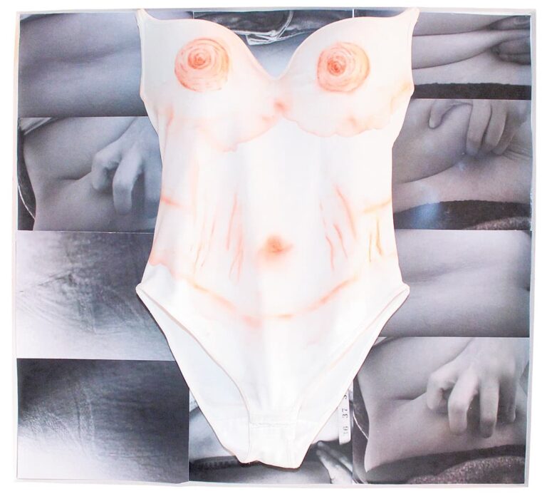 Cuerpo y arte en la obra de Julieta Gómez