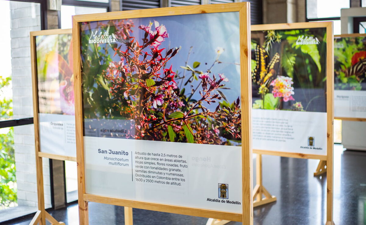 Medellín biodiversa, en imágenes