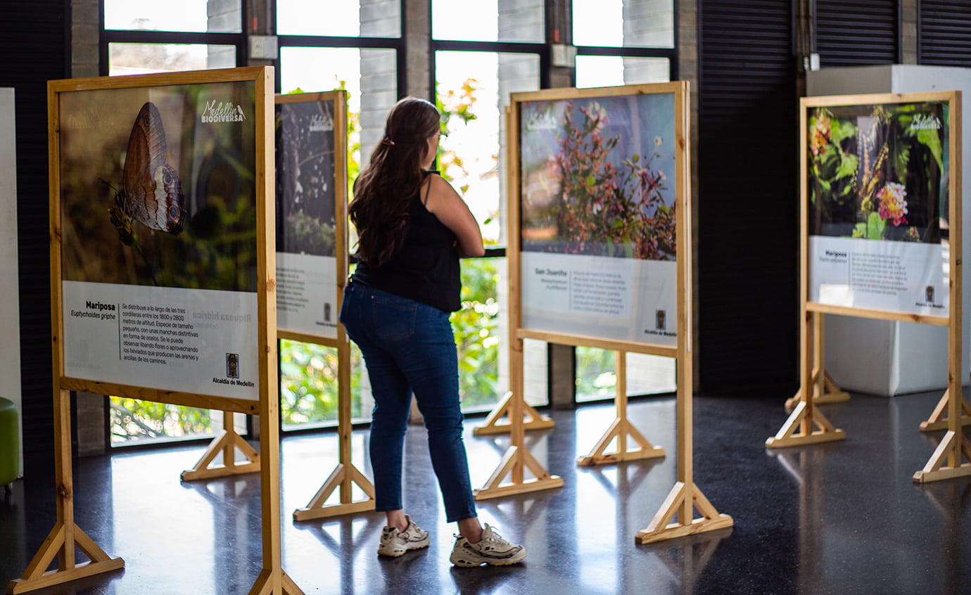 Medellín biodiversa, en imágenes