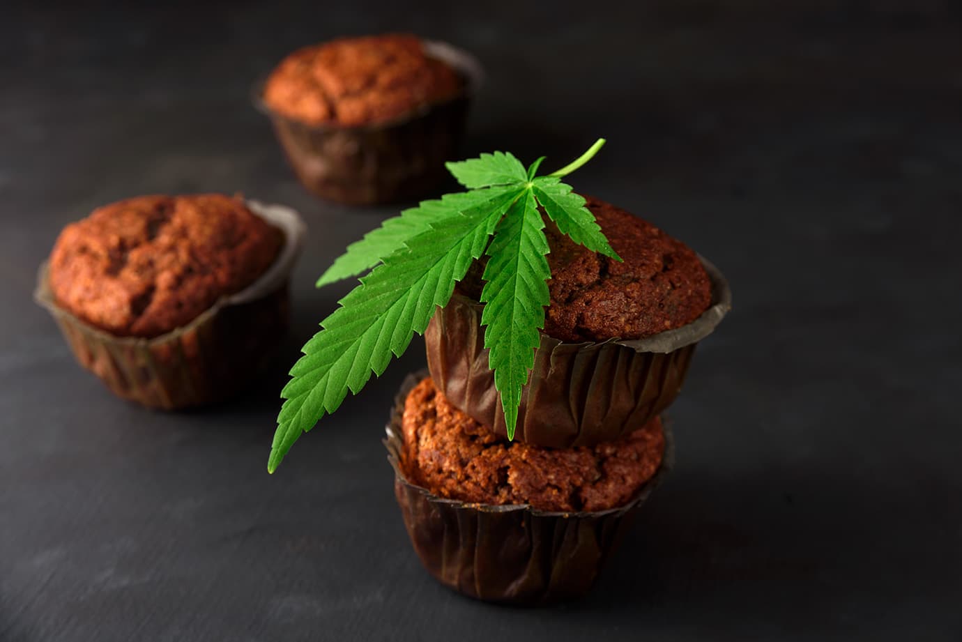 Alimentos a base de Cannabis en Colombia