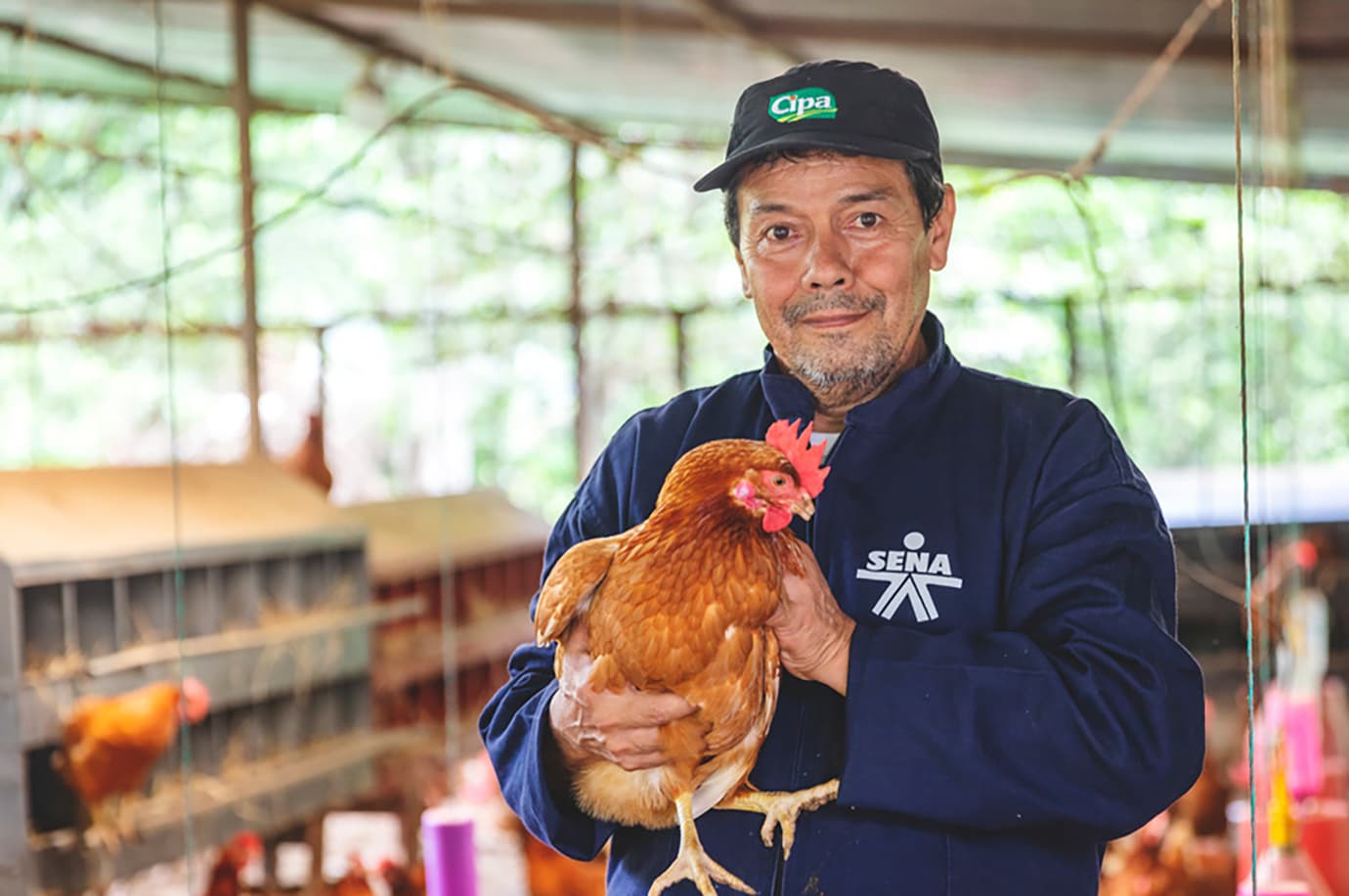 Campesinos de toda Colombia podrían ser instructores del Sena