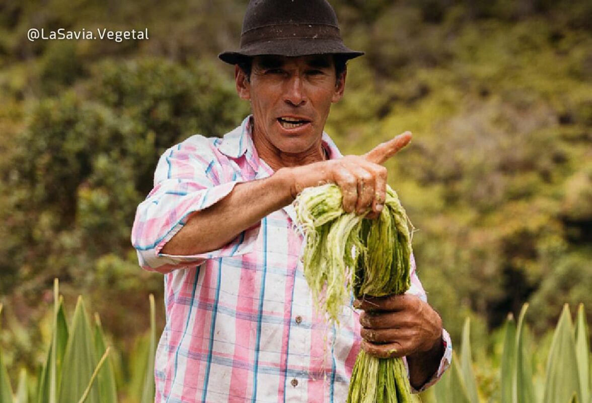 El Viaje del Fique
