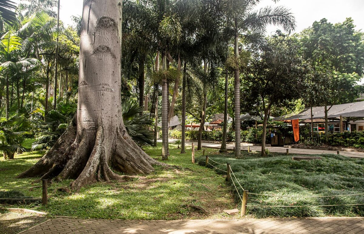 Los días de la ciencia, en Medellín
