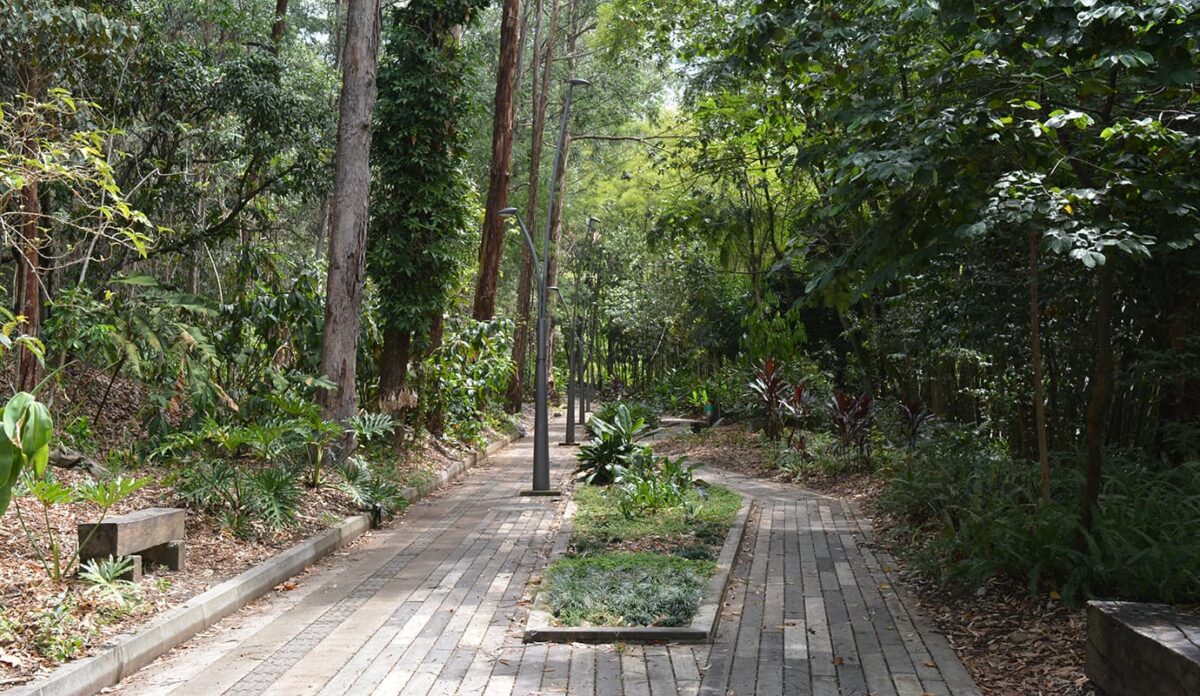 ¿Qué hay para hacer en el Parque Lineal La Frontera en El Poblado ?