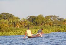 Pesca de agua dulce en Colombia