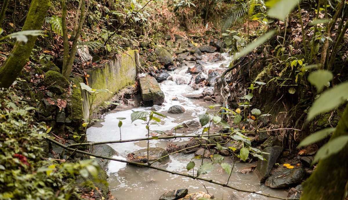 La quebrada La Yerbabuena en el Poblado, entre viejos y nuevos problemas