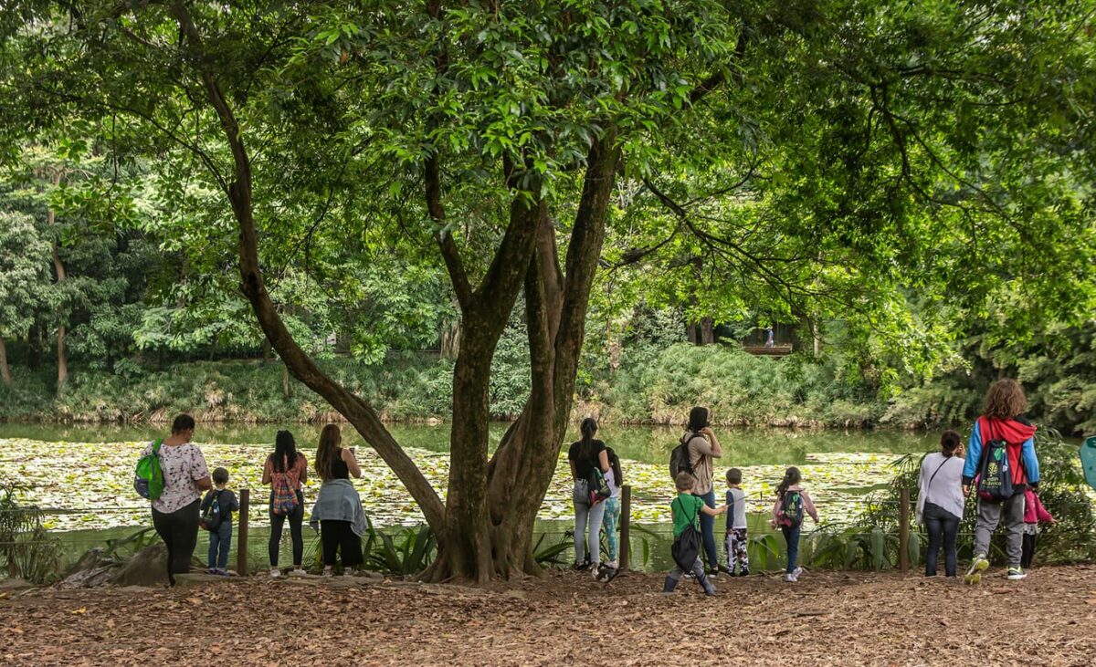 Jardín Botánico