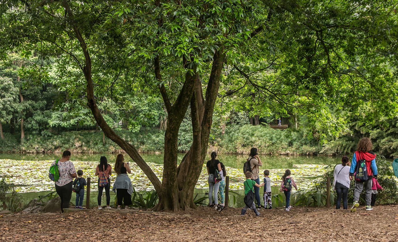 Jardín Botánico