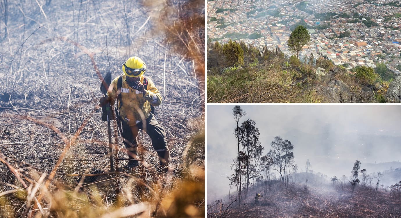 Altas temperaturas en Medellín, recomendaciones para evitar incendios de cobertura vegetal