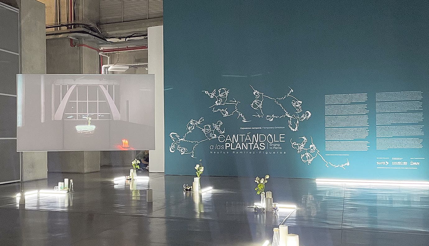 El Mamm inaugura 5 exposiciones