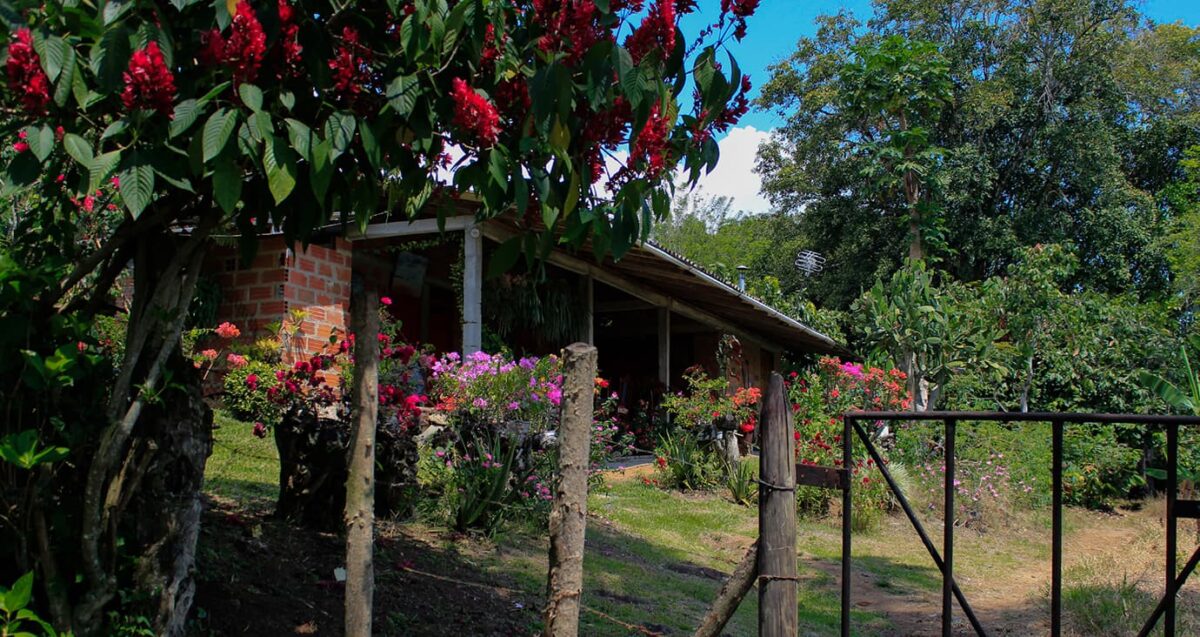 El proyecto Biosuroeste en el Suroeste de Antioquia es un ejemplo