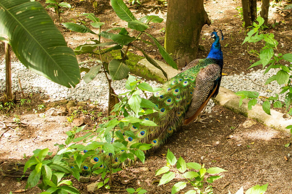 Dos nuevos espacios en el Parque de la Conservación