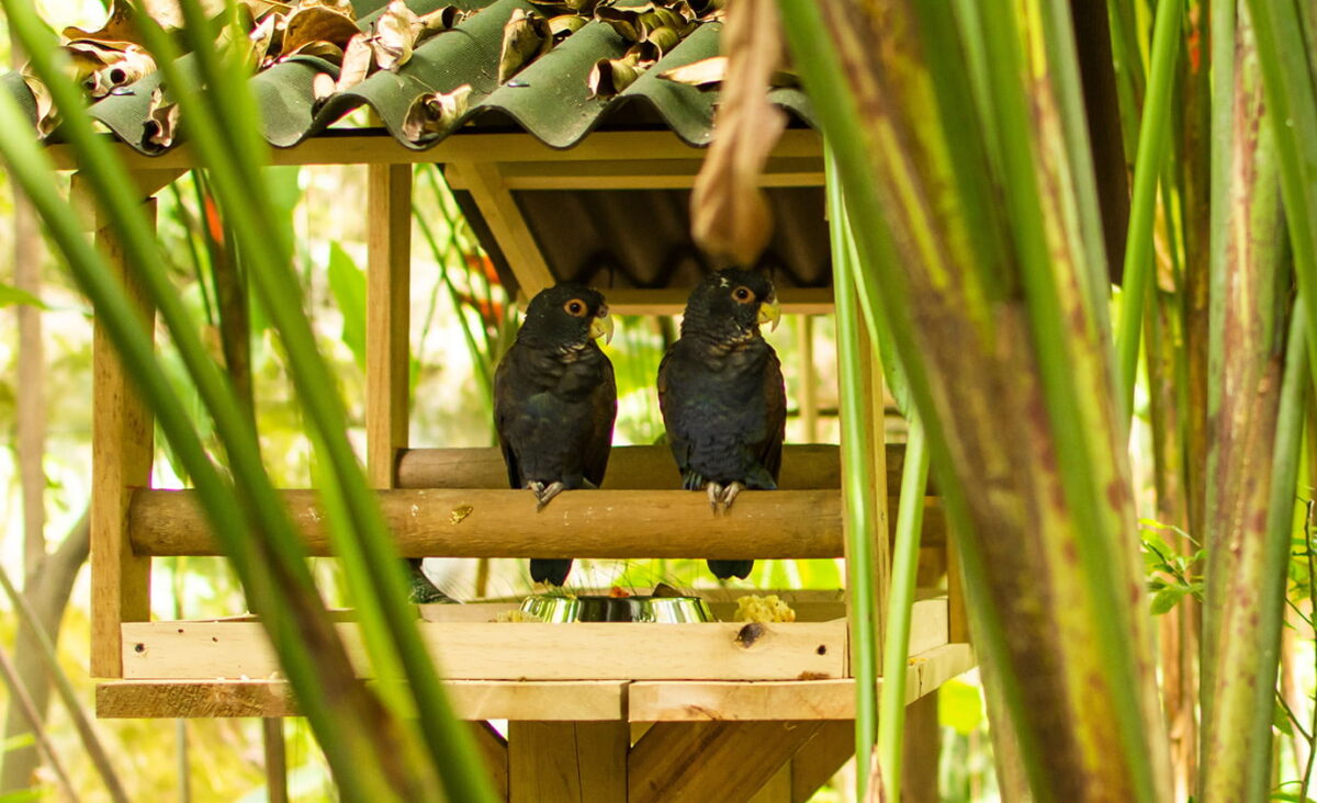 Dos nuevos espacios en el Parque de la Conservación