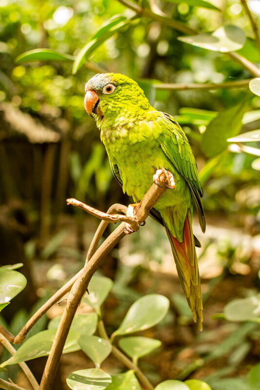 Dos nuevos espacios en el Parque de la Conservación