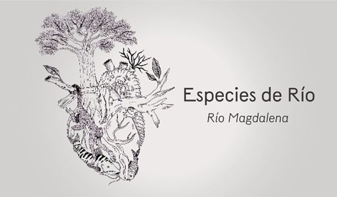 Un viaje por el río Magdalena con la serie “Especies de río”