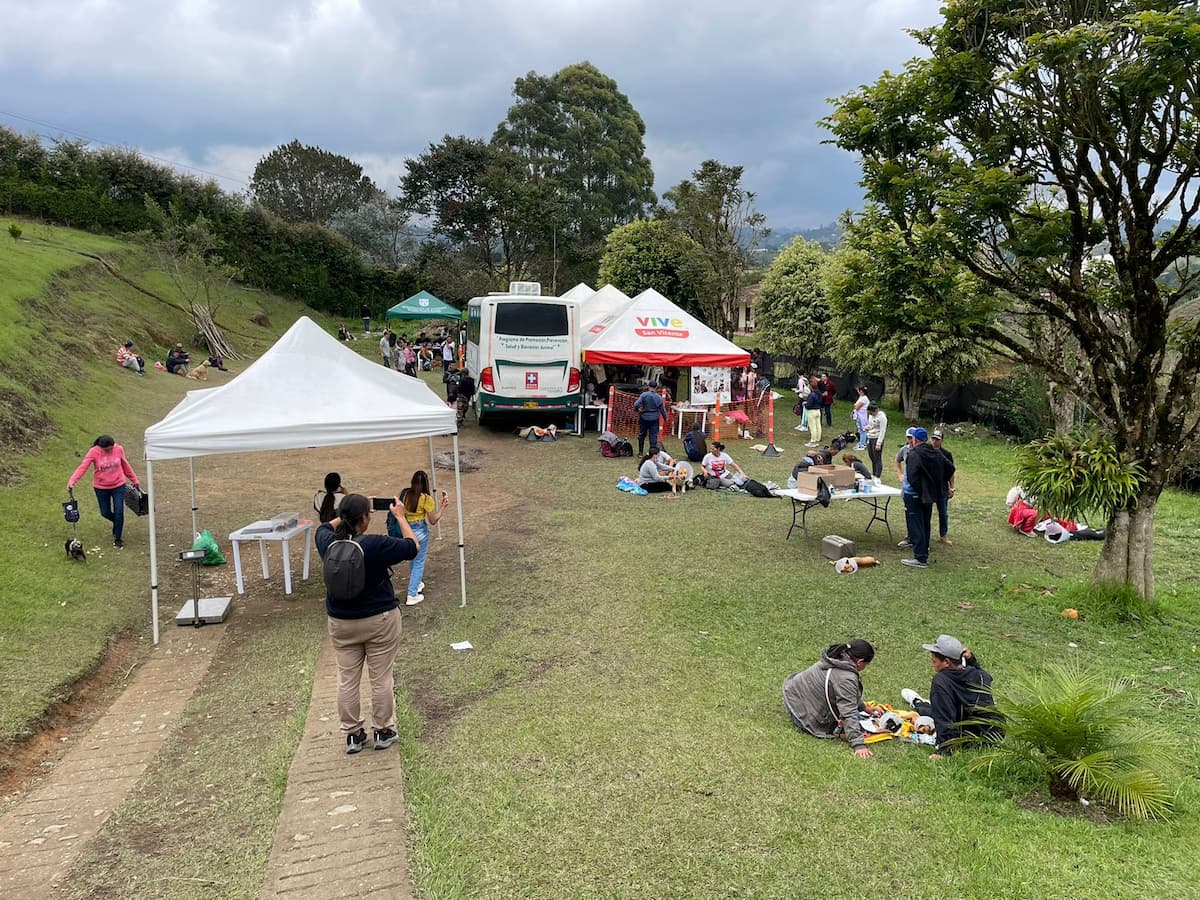 El Animóvil recorre Antioquia esterilizando a perros y gatos