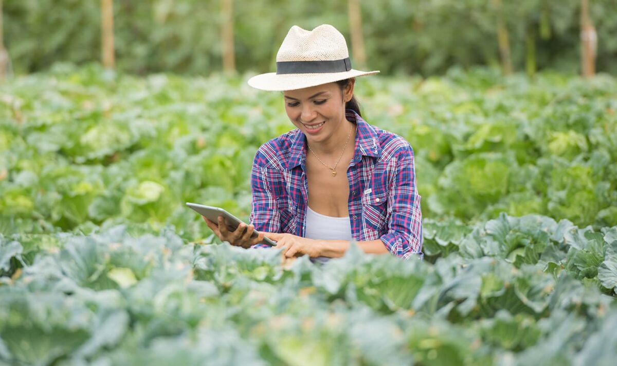 El SENA ofrece $25.000 millones para emprendimientos nacidos en el campo colombiano