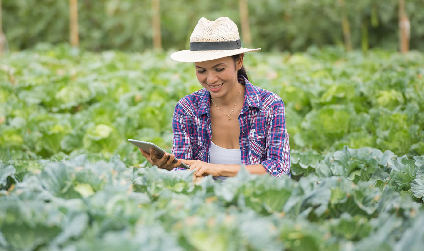 El SENA ofrece $25.000 millones para emprendimientos nacidos en el campo colombiano