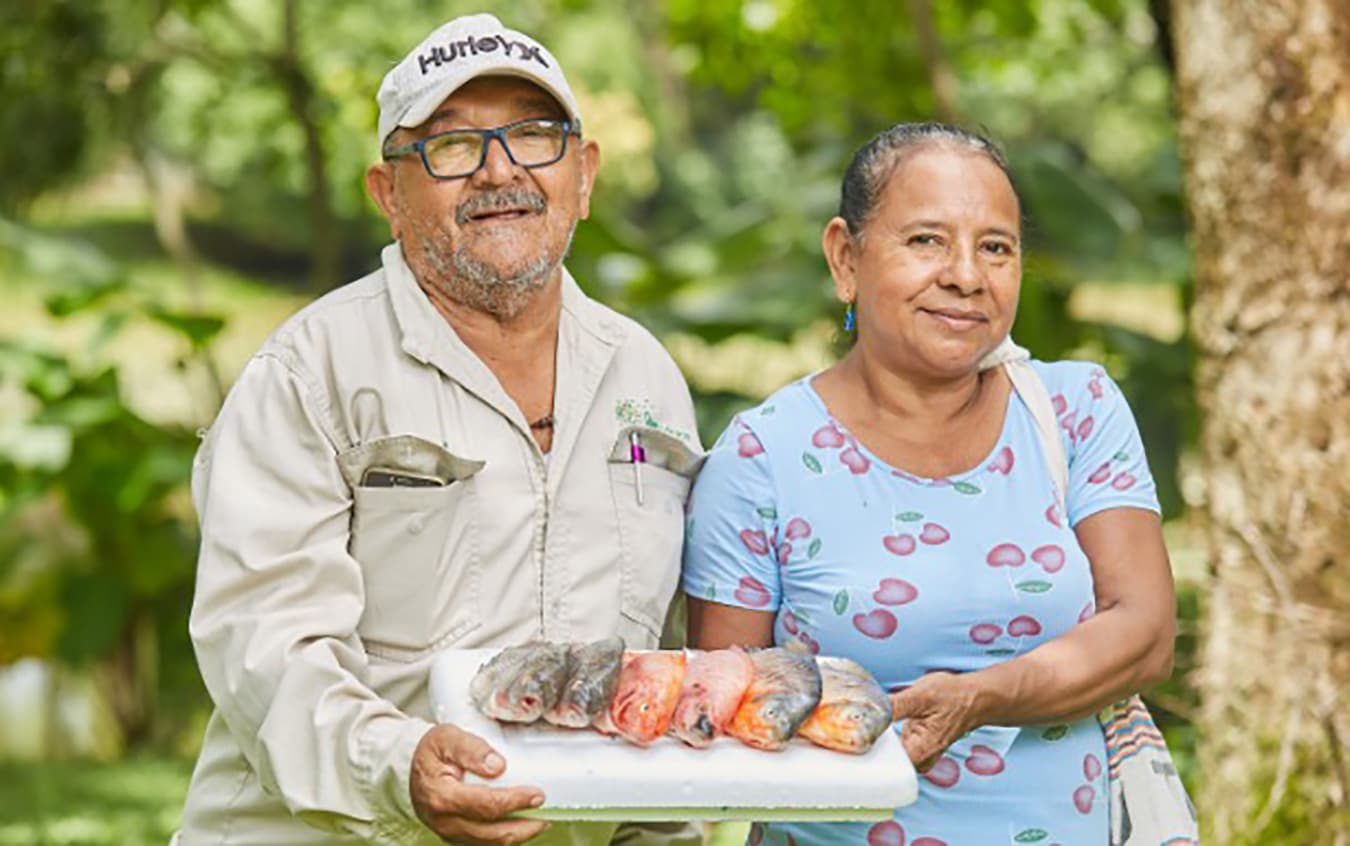 El proyecto Minicadenas impulsa unidades productivas de víctimas de desplazamiento, en Antioquia