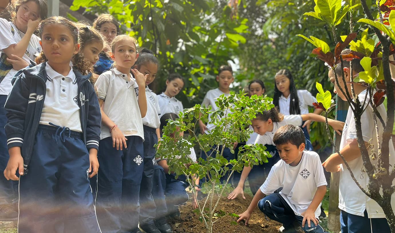 Estudiantes del colegio San José de Las Vegas realizaron la siembra de más de 100 árboles