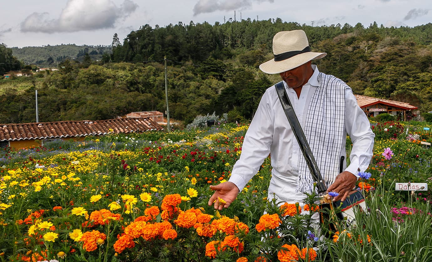Proyecciones económicas de la Feria de las Flores 2023
