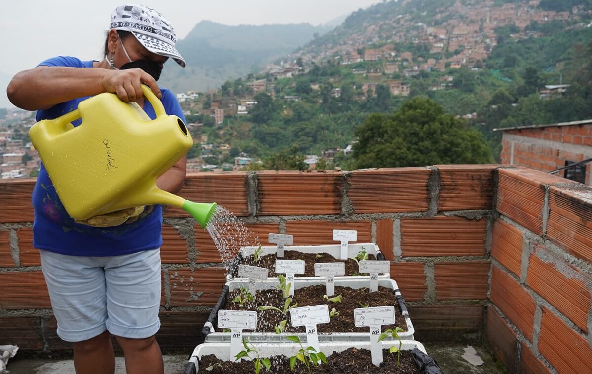 Ecohuertas en los barrios de Medellín