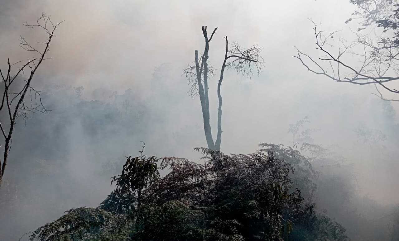 Dagran reiteró el llamado para reducir el riesgo de desastres por incendios, en Antioquia