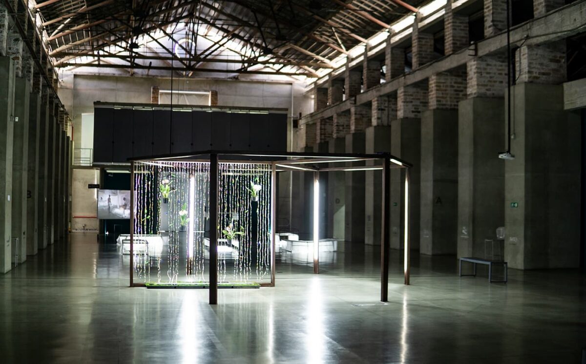 El Museo de Arte Moderno de Medellín celebra 45 años de historia