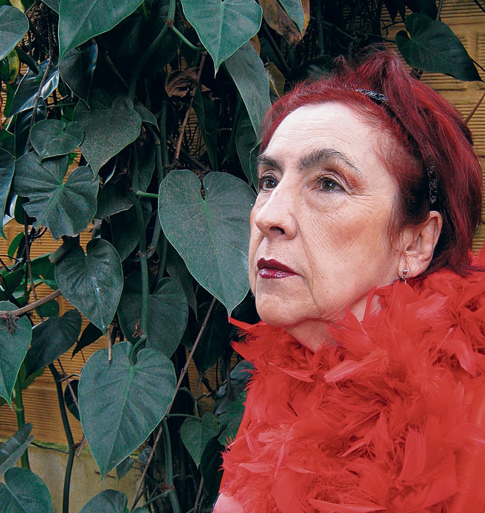 Dora de milcolores