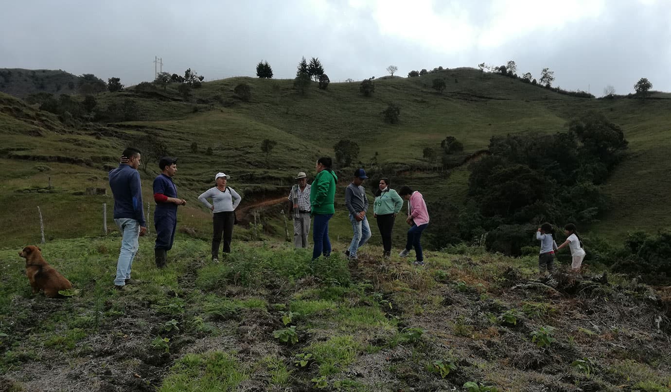 Financiarán proyectos agropecuarios de mujeres rurales en siete municipios de Antioquia