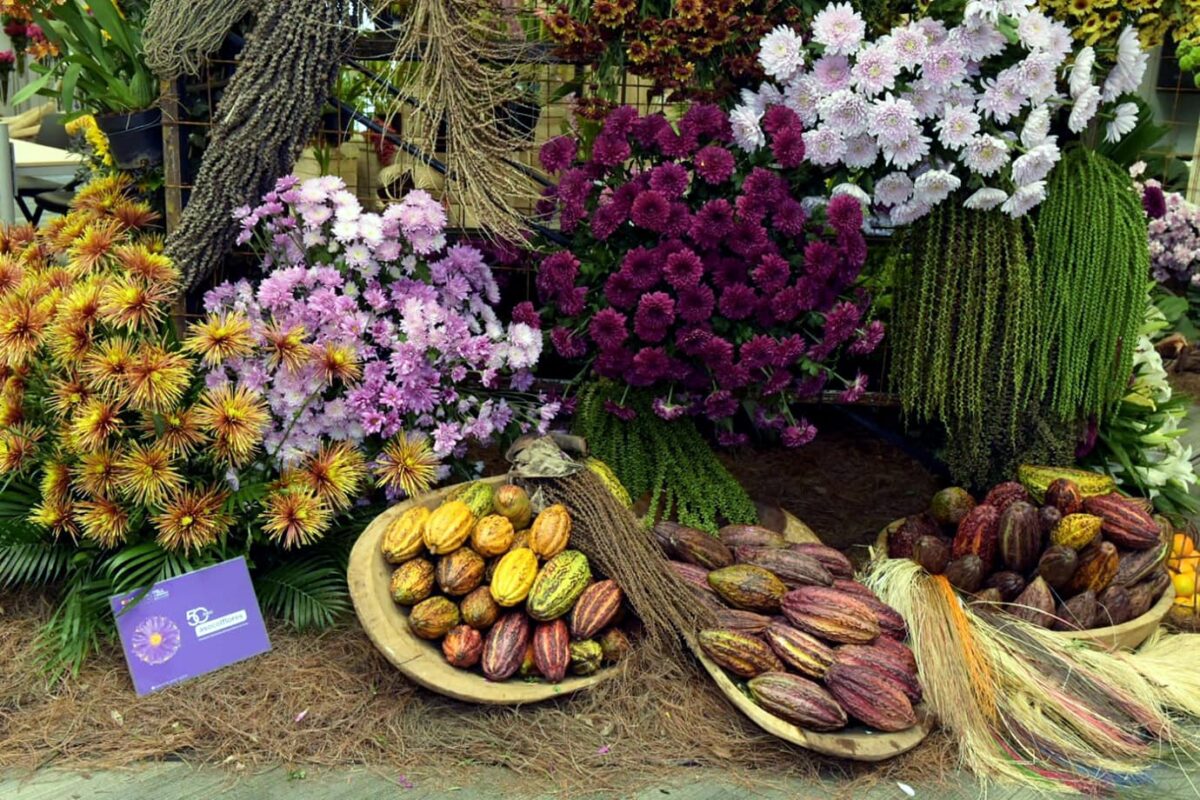 La feria Colombia Exótica exhibe las flores y orquídeas más hermosas de Colombia