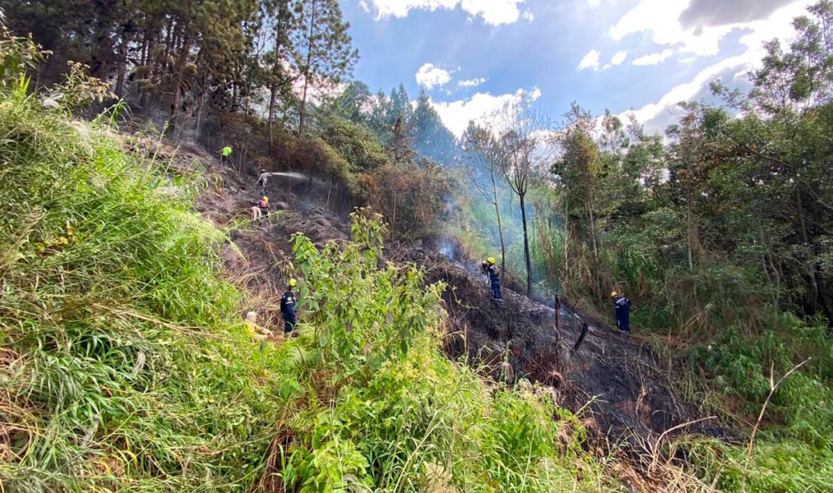 Han aumentado los incendios de cobertura vegetal en Medellín, el Dagrd entregó recomendaciones