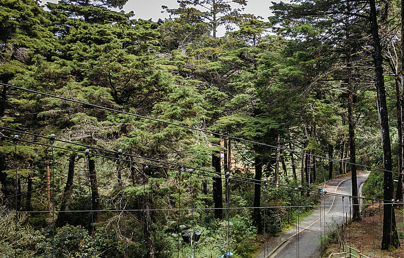 Turismo sostenibleen el Parque Arví
