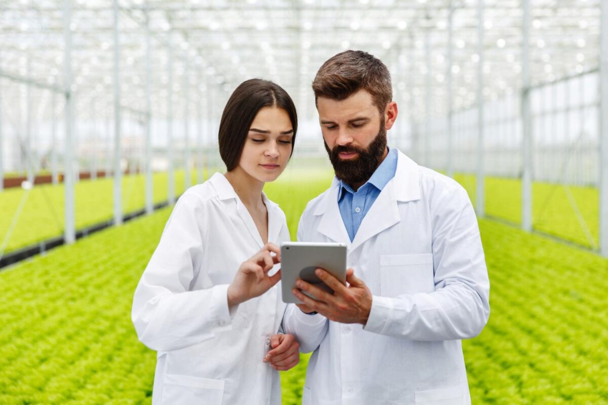 Cargill agroindustria empleo Michael Page