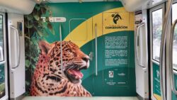 El Parque de la Conservación ahora viaja en Metro