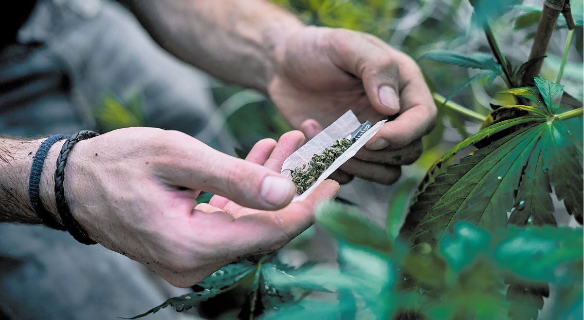 Venta y consumo drogas espacio público zonas verdes El Tesoro
