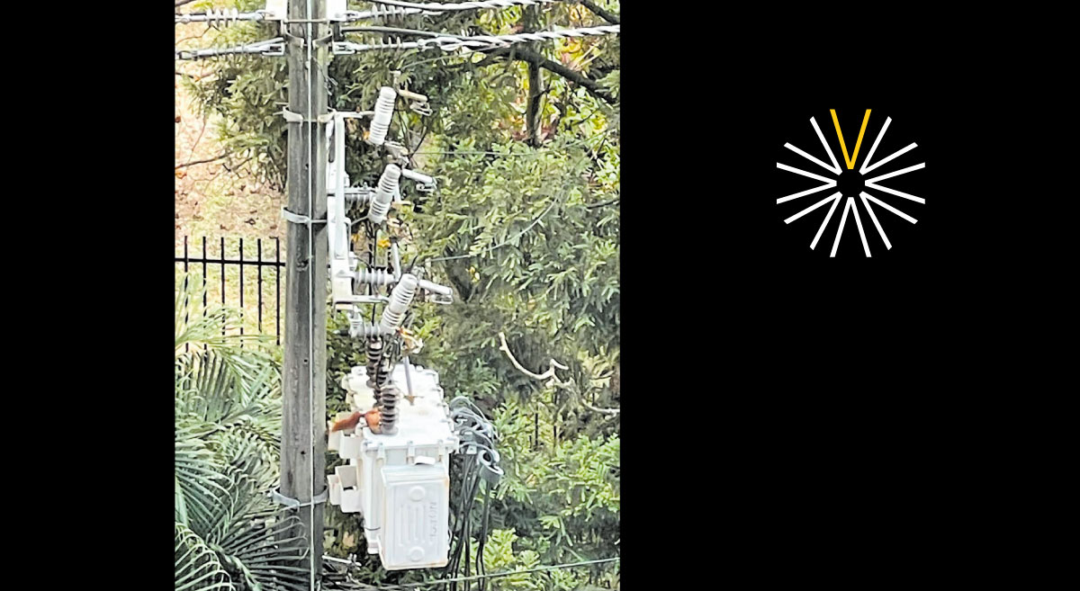 ardilla fauna electricidad transformador EPM